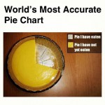 World's most accurate pie chart